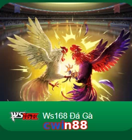 cwin88